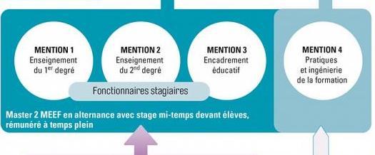 Infographie des masters MEEF