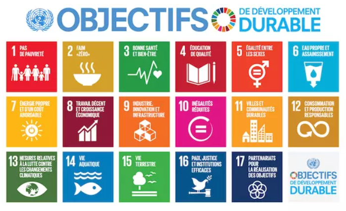 Développement durable et écologie : impératif politique, pratiques éducatives, enjeux épistémologiques 